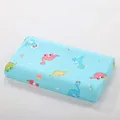 color5-pillow case