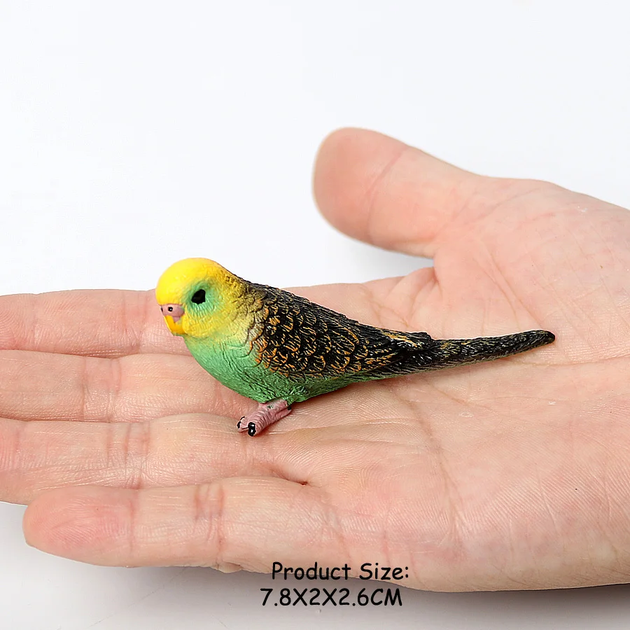 Wilde Vogels Dieren Kalkoen Ara Uil Eagles Struisvogel Pelikaan Beeldjes Speelgoed Dier Action Figure Leren Onderwijs Vogels Geschenken