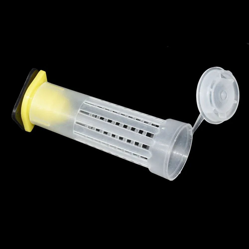 

50 Pcs Beekeeping Tools Fertility King Pedestal Guard Longwall Shield Queen Cage Cover By Registered Mail