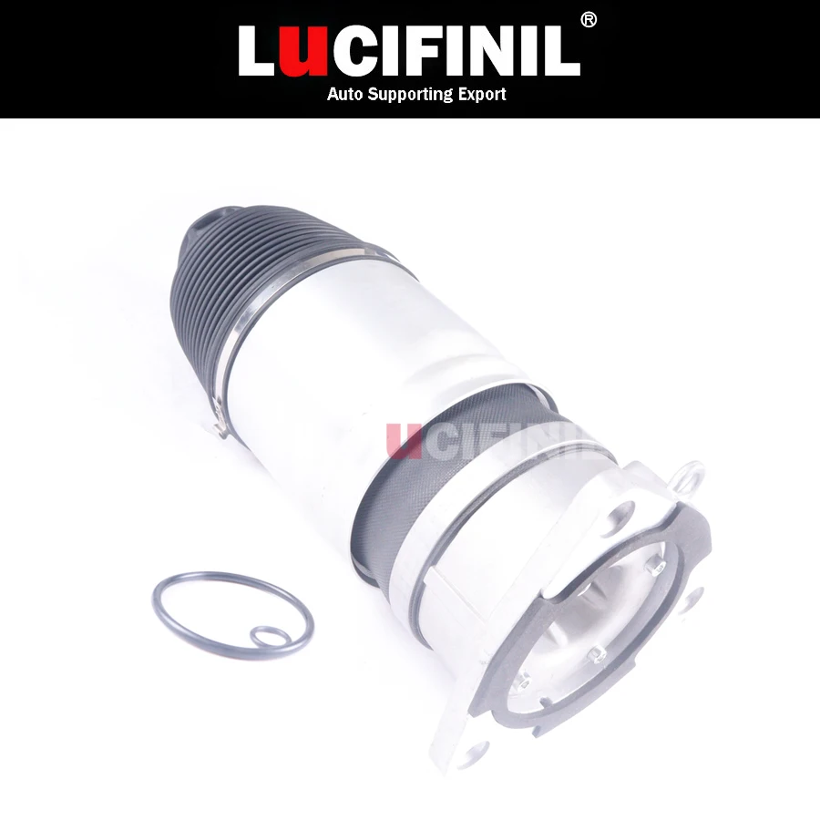 LuCIFINIL Rear Left Air Suspension Spring Bag Fit Audi A8 D3 S8 4E0616001N