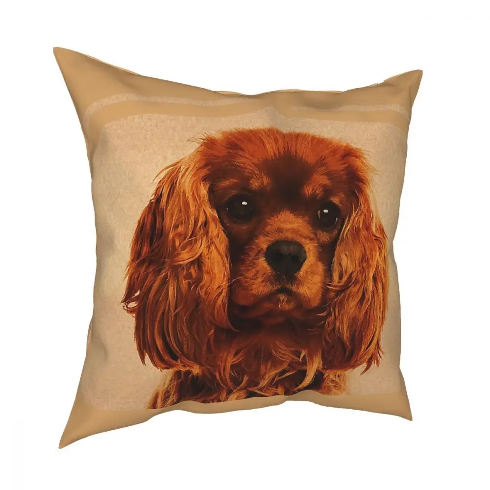 Cavalier King Charles Spaniel Square Pillow Case Throw Pillow Cute Dog Funny Cushion Covers