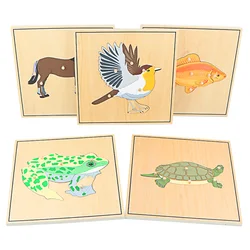 Giocattoli educativi per bambini materiali Montessori biologia scheletro in legno Puzzle rana cavallo Tortiose pesce uccello giocattoli animali per ragazzo