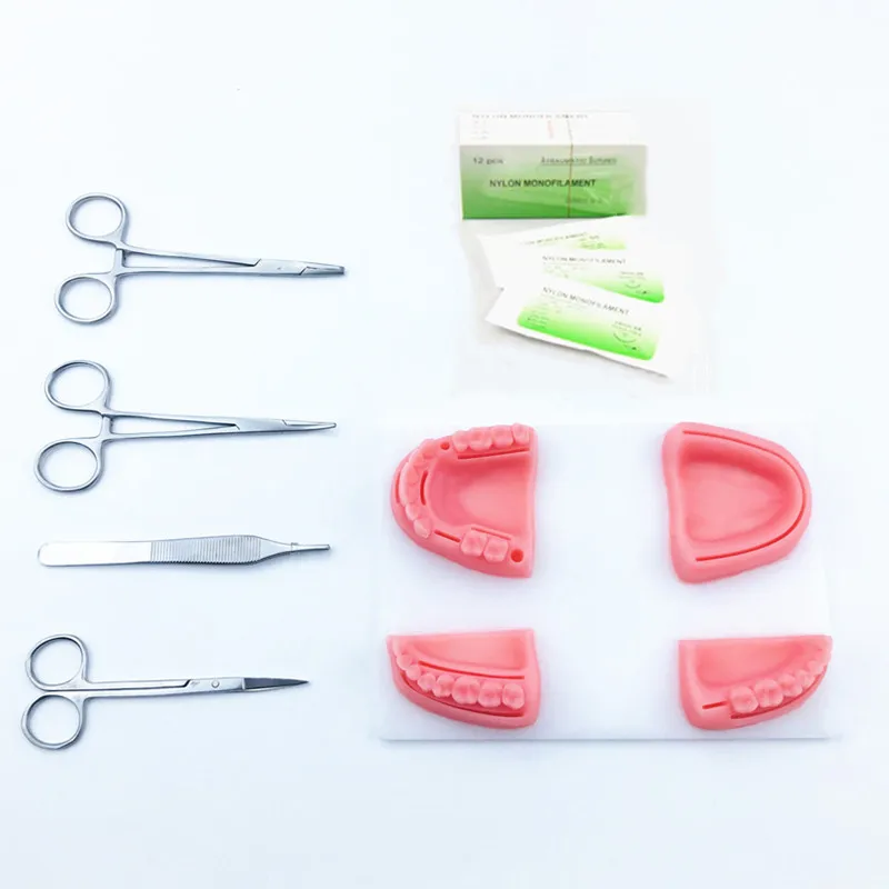 Dental Supply Simulation oral suture model with needle Gum suture teaching training tools skill practice