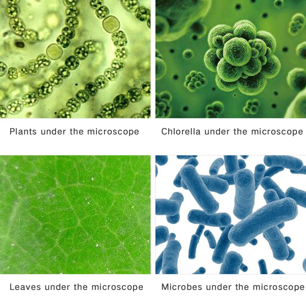 Kit de microscópio refinado de laboratório com led, brinquedo educacional para casa e escola, presente de microscópio biológico refinado para crianças