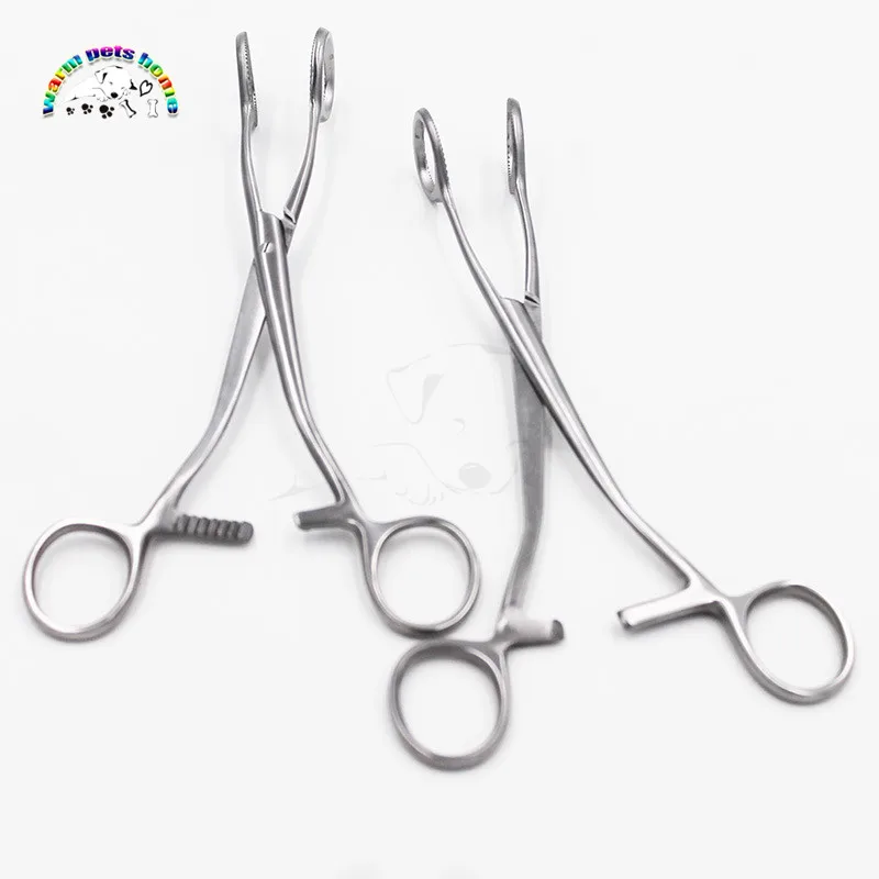 Tongue Forceps Medical Stainless Steel Tongue Seizing Forceps Tongue Holding Forceps Dental Instruments Veterinary