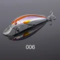 NS006