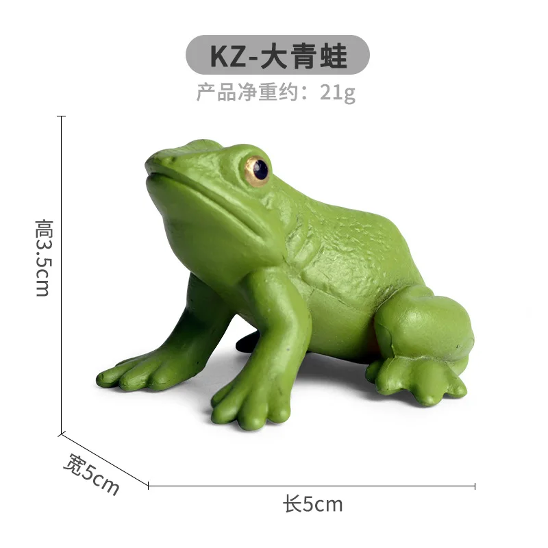 2021 Simulation Insect Animal ABS Figures Evolution Stage Butterfly Bee Frog Turtle Chickens Growth Cycle Toys for Children Gift