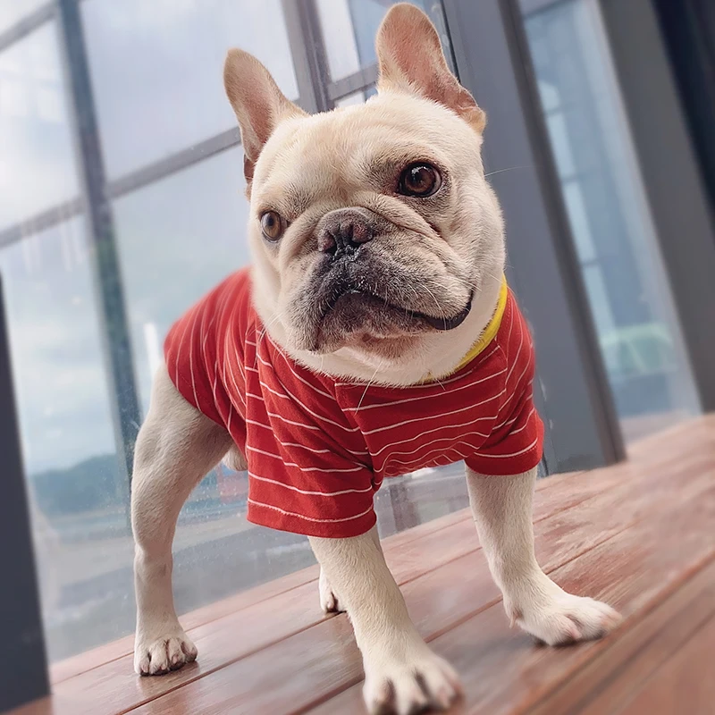 zq  Dog Clothes Thin Summer Clothing Sun-Proof and Breathable Fashion Striped Cute Stitching T Free Shipping