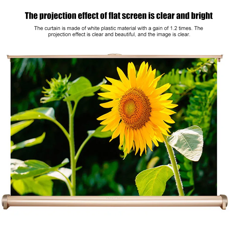 20 Inch Micro Retractable Projection Screen 16:9 Projection Screen Cloth for Home Outdoor Travel Em88