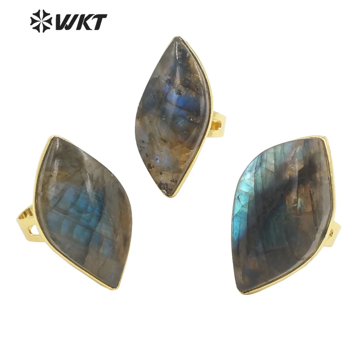 WT-R389 WKT 2024 New Fashion Adjustable Ring Labradorites Stone For Women Girls Wedding Engagement Party ACC Jewelry