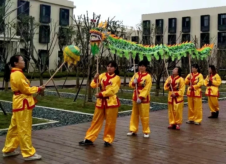 Kid 7,9 m taglia 6 Costume di danza del drago di seta 8 giocatori Bambini Studente Festa di compleanno di Halloween Parata di Natale Palcoscenico popolare Cina
