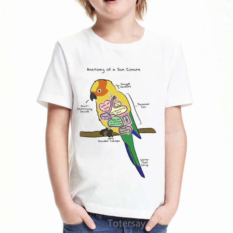 

T-Shirt For 4, 5, 6, 7, 8, 9, 10, 11 And 12 Year Old Boy Girls Birds Print Tshirt Coffee&Macaws Graphic T Shirt Boys Streetwear