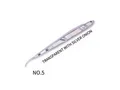 silver onion   2pcs