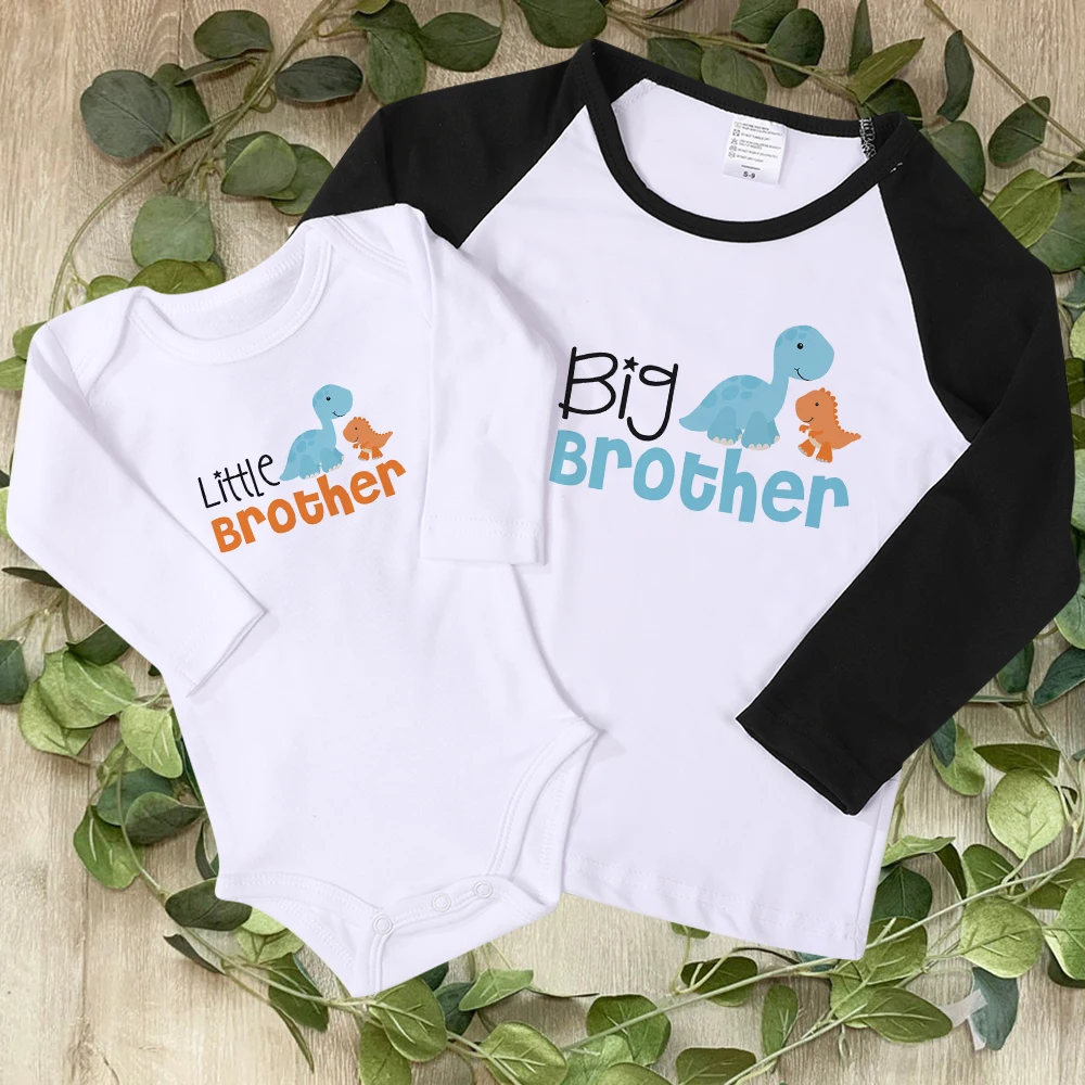 

Winter Autumn Tshirt Big brother little Brother dinosaur Shirt Brother Raglan sleeve Dinosaur tops Big brother announcement gift