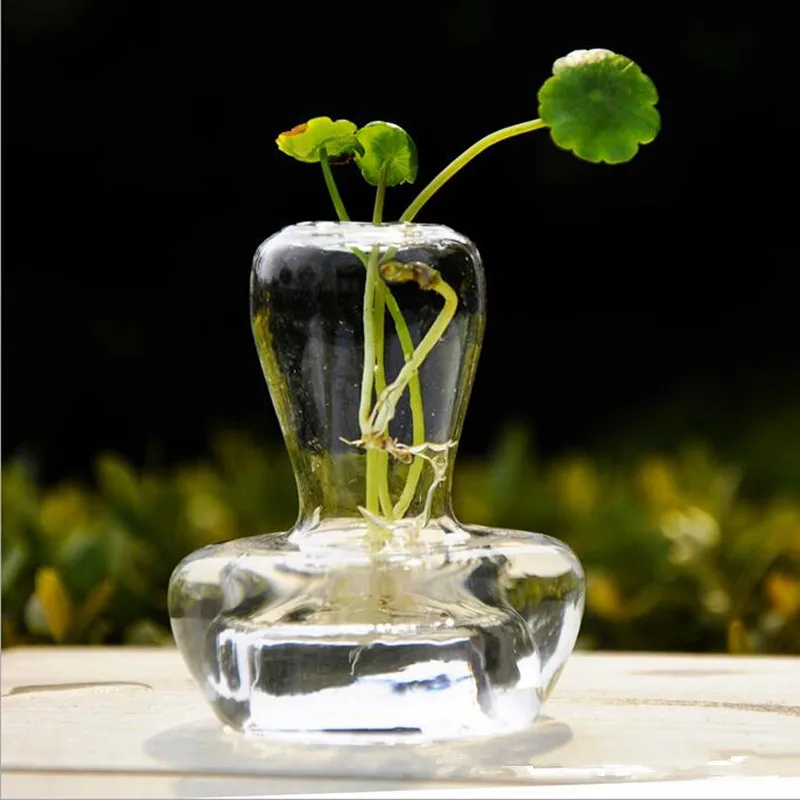 

12pcs/pack 8*12cm Small Size Mushroom Shaped Glass Terrarium Home Decoration Table Style Hydroponic Vase