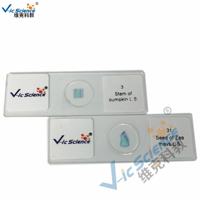 Conjunto educativo de 50 piezas,