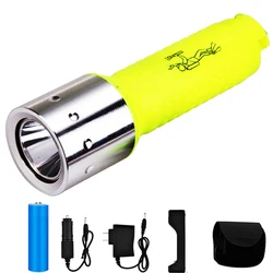 D2 Diving Flashlight Torch Lights Underwater Portable New Mini T6 lamp Strong light Waterproof LED Flashlight Caving camping