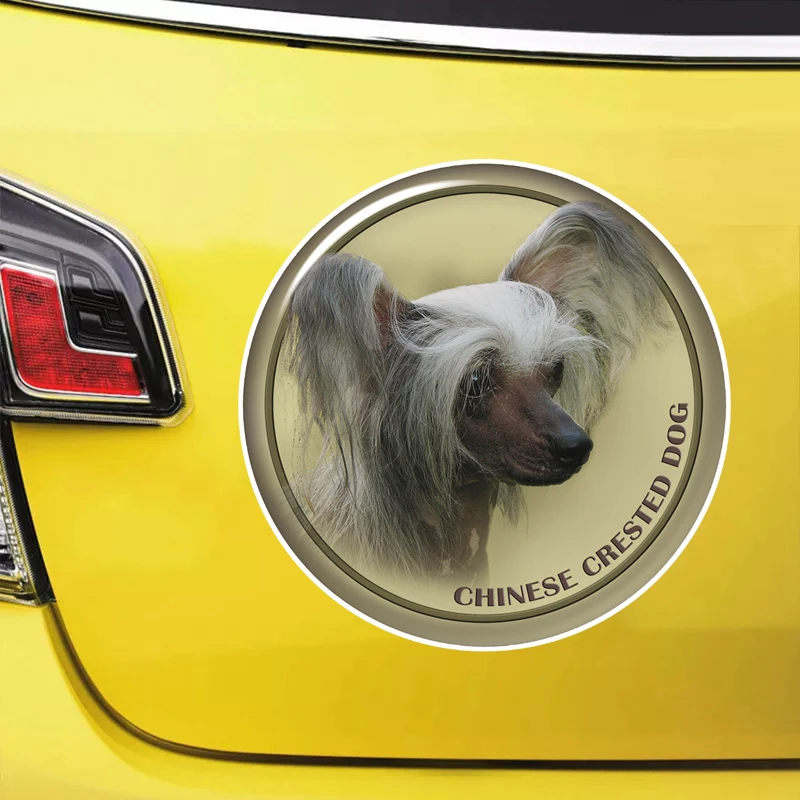 S62116# Chinese Crested Dog Self-adhesive Decal Car Sticker Waterproof Auto Decors on Bumper Rear Window Laptop Choose Size