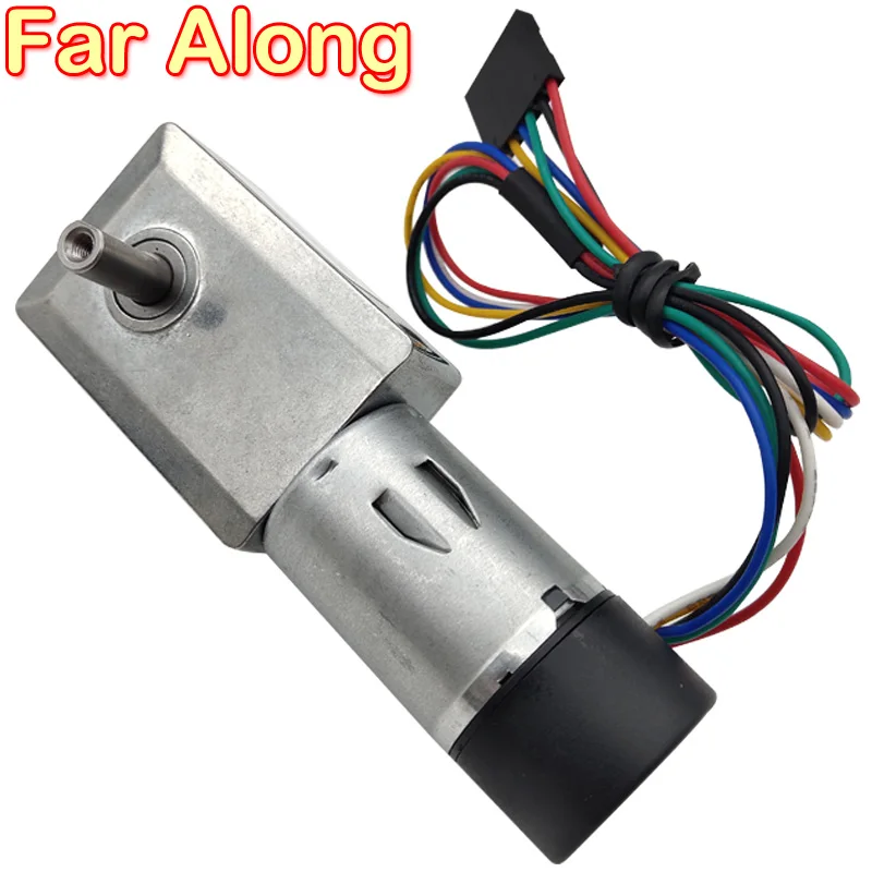 Micro DC Electric Double Shaft Worm Geared Motor 6V 12V 24V With  Dual Shaft Encoder Low Speed 6-150RPM In DC Motor Self Locking