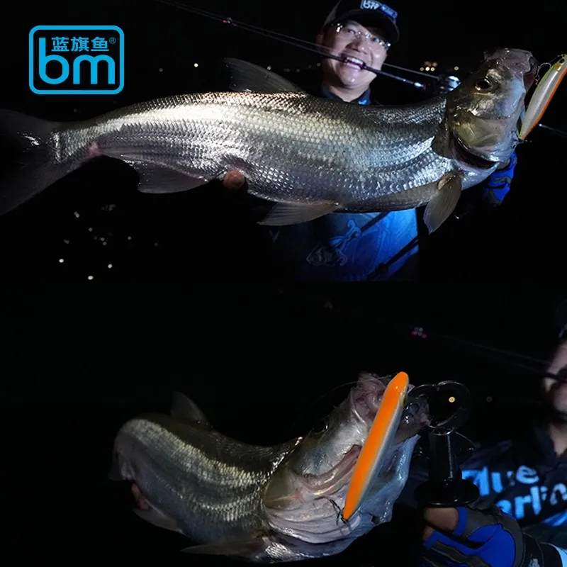 New Fanduyu 100F Floating Pencil Fishing Lure 100mm/15g  Artificial Wobbler Full Swimming Layer Simulated Fish Scales Fake Bait