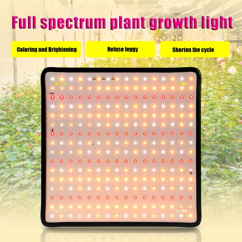 Imagem -03 - Led Full Spectrum Plant Growth Light Luz Interior da Flor Luz Verde Crescimento Vegetal Jardim 5000w