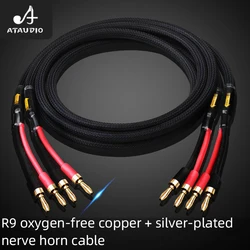 A pair HIFI speaker cable pure copper with silver-plated nerve cable main speaker surround sound connection dedicated cable