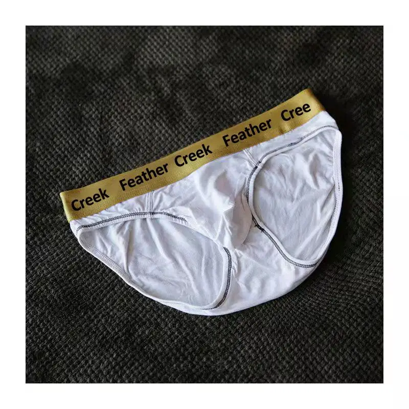 Mens Underwear Briefs Bulge Big Penis Pouch Seamless Mens Briefs Enhance Sexy Male Panties