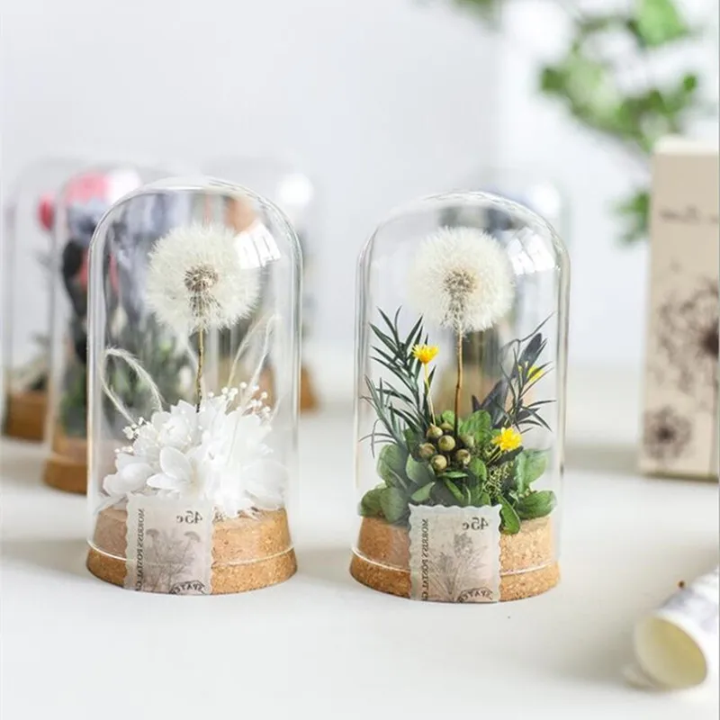 2sets/pack 6*12cm Mini Size Glass Dome Vase Home Table Deocration Cork Base Transparent Cover Wedding Prop Friend Gift