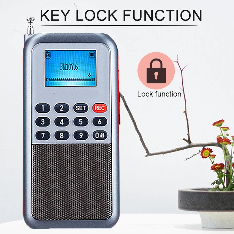 Portable FM/AM Radio Wireless Bluetooth 5.0 Speaker Dual Band Radio Receiver 3.5mm Jack HIFI Stereo With LCD Display