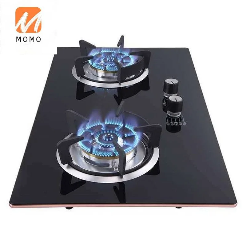 China Kitchen Gas Stove Gas Electric Combination 2 Burners Cooking Appliances