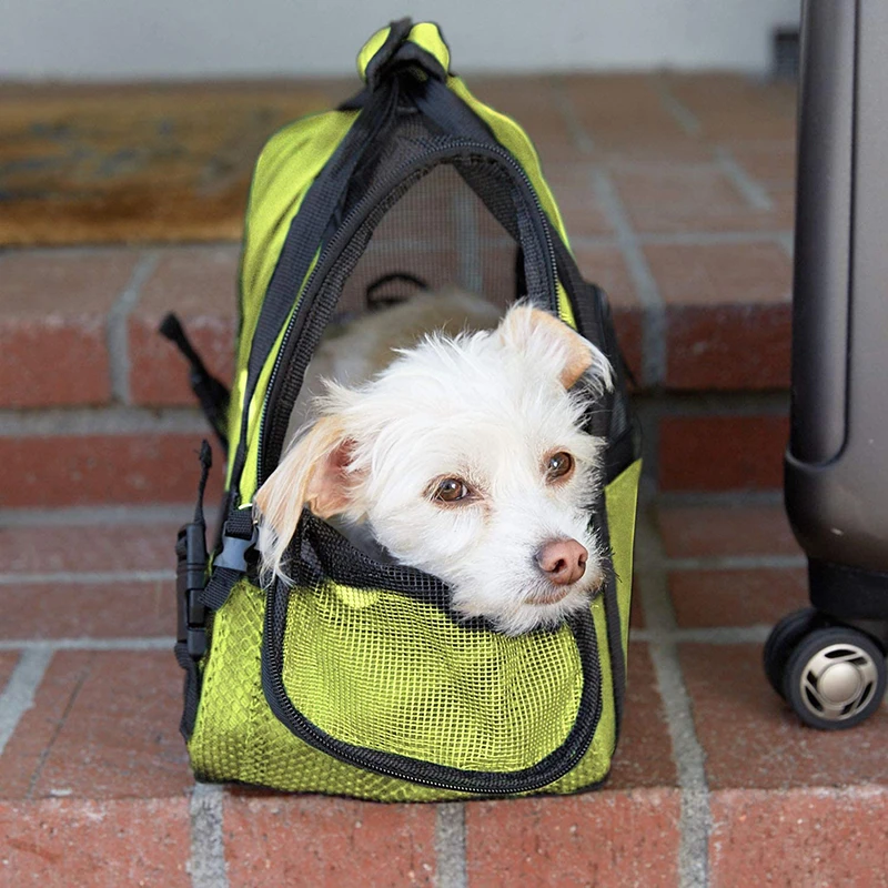 Imagem -03 - Benepaw-durável Pequeno Cão Portador Impermeável Malha Acolchoada Alça Reflexiva Viagem Transportando Pet Bolsa Quente Velo Mat Cachorro e Gato