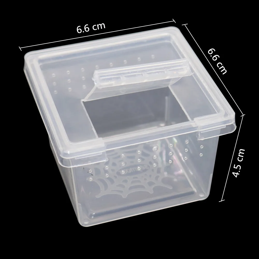 10 Pcs Larval Rearing Box Reptile Living Boxes Plastic Transparent Scorpion Spider Cultivate Container Insect Living Box