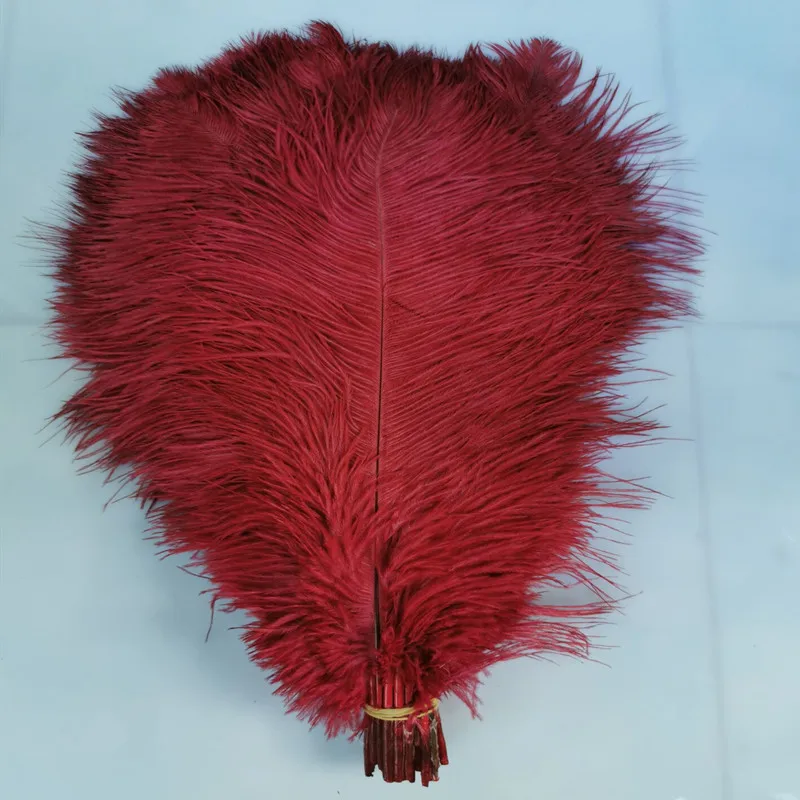 

Pack of 100pc,Naturl Ostrich Feathers 14-16inch (35-40cm) Plumes Wedding,Clothing,Party,Table Decoration,DIY (Red Wine)