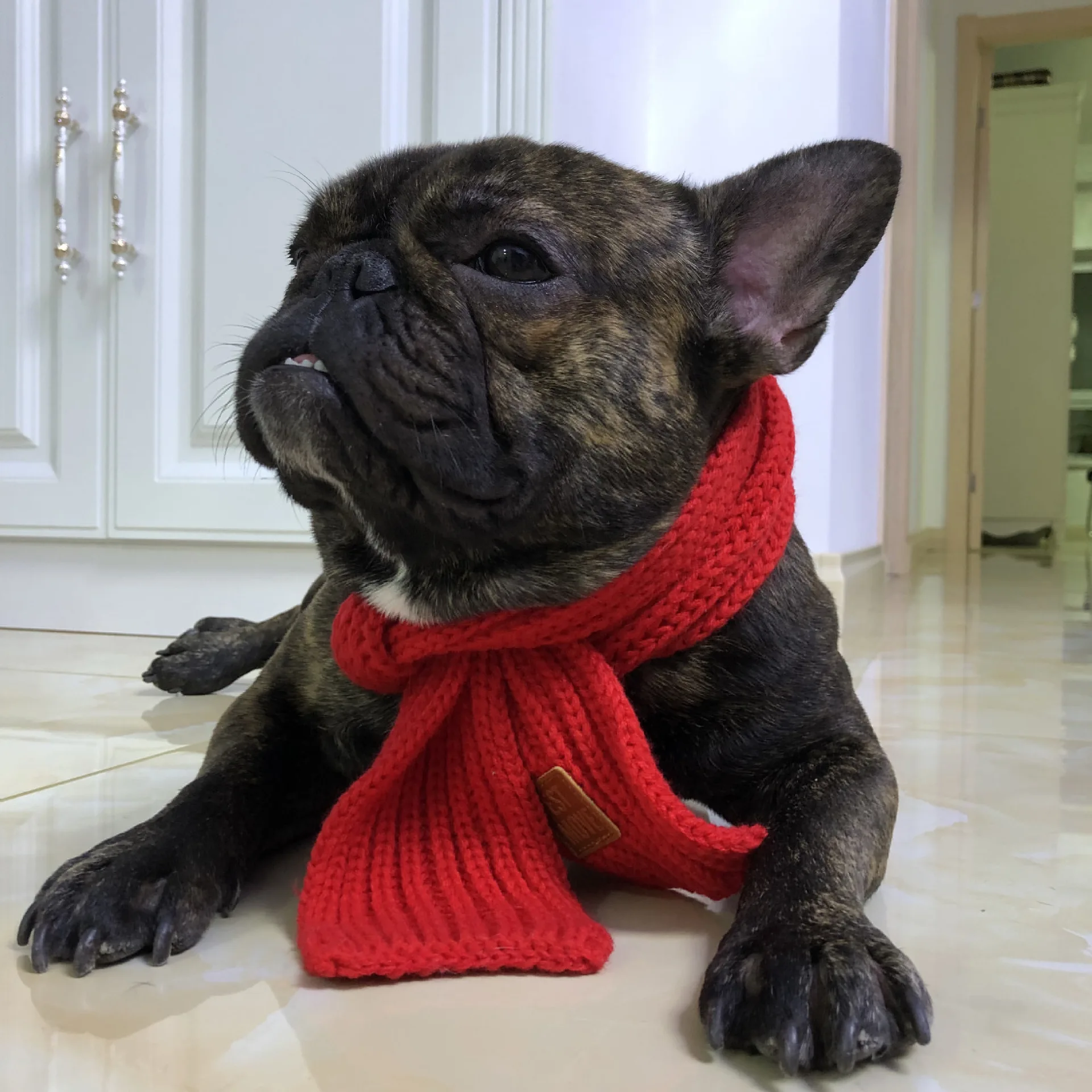 Pet Dog Cat Neck Scarf Winter Warm Knitting Scarf for Small Medium Dogs Chihuahua /Pug/Corgi /poodle Collar Grooming Accessories