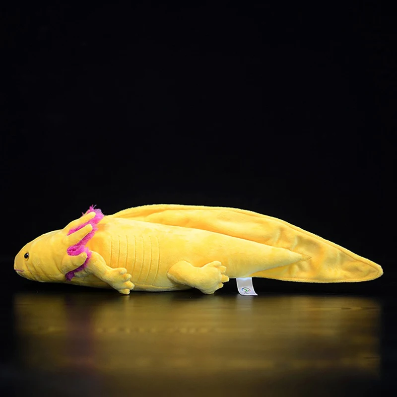 Axolotl juguete de peluche suave para niños, simulación realista, Ambystoma, mexianum, dinosaurio amarillo, animales, modelo, muñeca, regalos