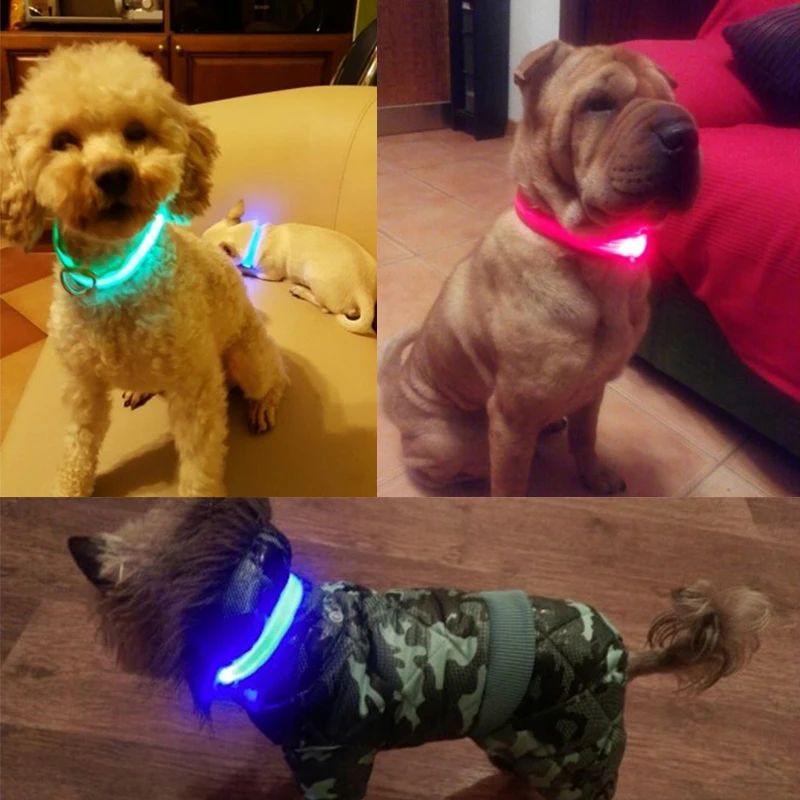 Ledowa obroża dla psa Luminous Nylon świecące obroża dla psa światło widzialna w nocy obroża dla psa Perro Luz Luminoso jasne zwierzęta obroża