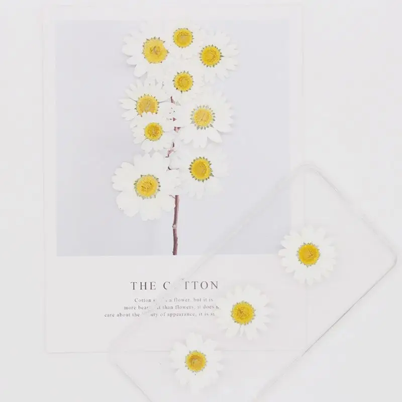 100Pcs Real Natural Dried Pressed Flowers White Daisy Pressed Flower for Resin Jewelry Nail Stickers Makeup Art Crafts