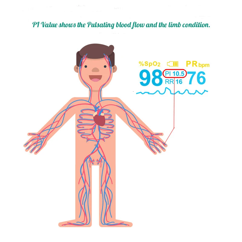 Medical Finger Oled Pulse Oximeter RR Blood Oxygen With Respiratory Rate Oximetro De Dedo portátil & case oxymeter Pulsioximetro