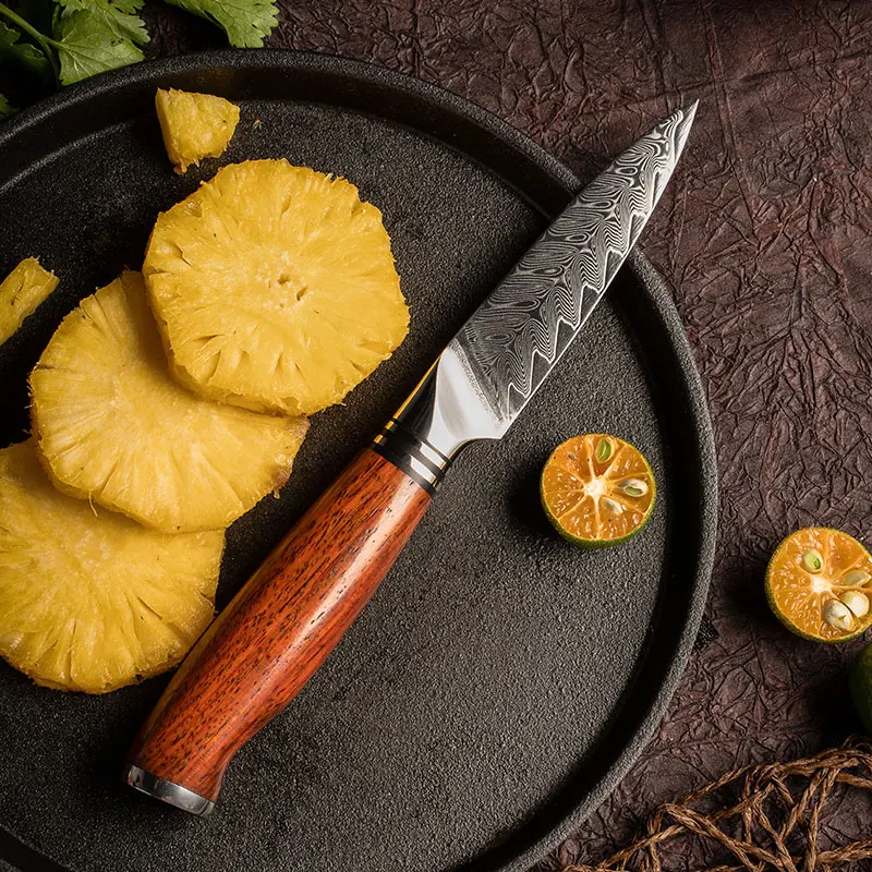 YARENH 3 Inch Fruit Knife 73 Layers Japanese Damascus Steel Ultra Sharp Fruit Peeling Knife Kitchen Tools Dalbergia Wood Handle