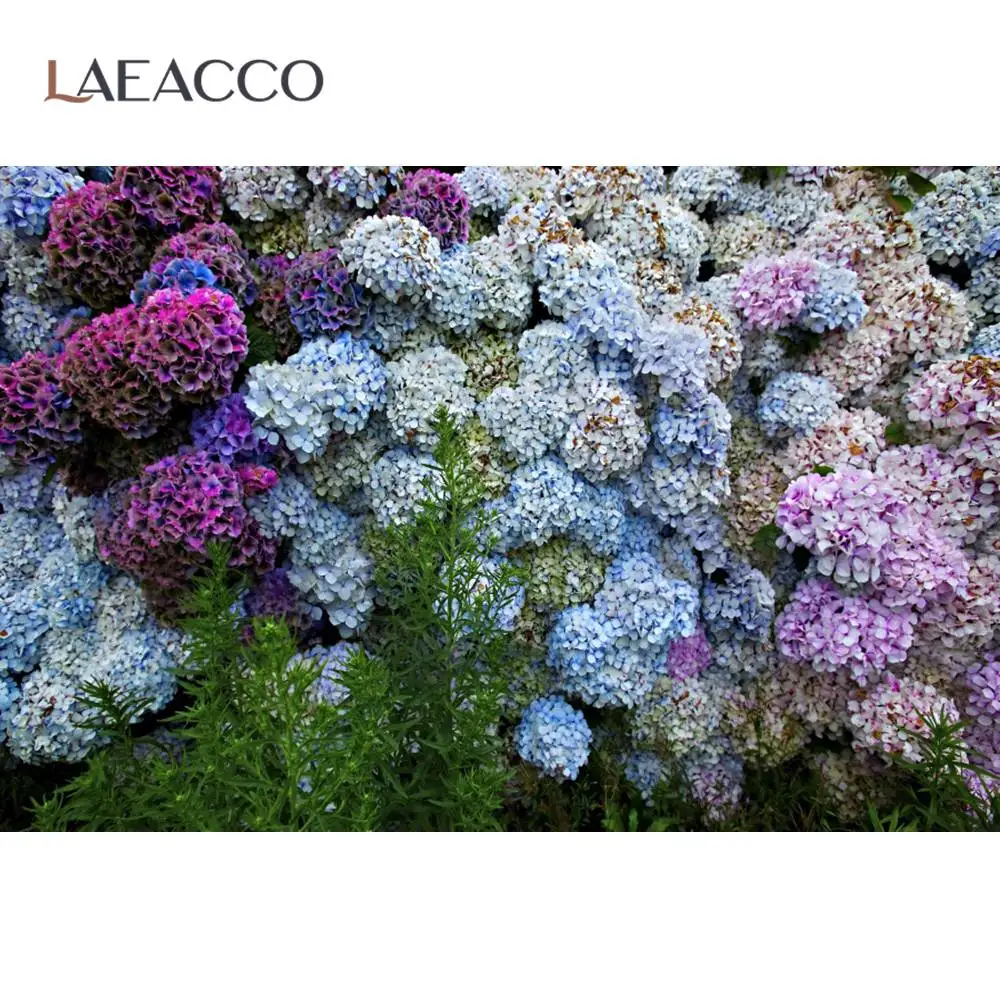 Laeacco Spring Hydrangea Flowers Brtittany Garden Park Natural Scenic Party Photographic Background Photo Backdrop Photo Studio