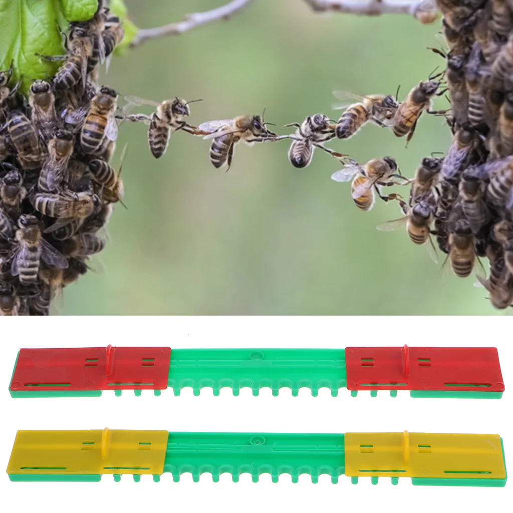 Nuova porta anti-fuga 5 pezzi durevole porta per alveare porta d'ingresso porta anti-fuga strumento apicoltore per evitare che le api fuggano