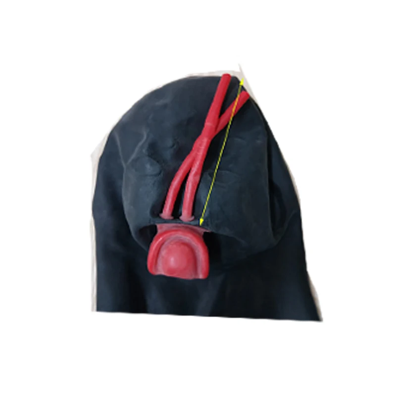 Hot 3D Latex Hood Rubber Mask Closed Eyes Fetish Hood with Red Mouth Gag Plug Sheath Tongue Nose Tube Long and Short for Men