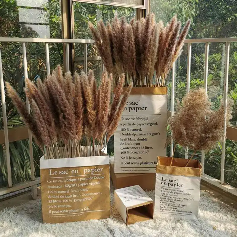 

Natural 30pcs Dekoration Small Reed Phrmitages Dried Pampas Grass Dry Flowers Phragmites Bunch Communis Wedding Decoration