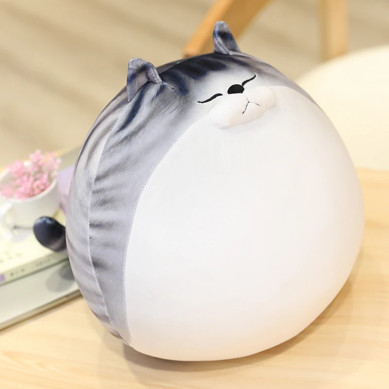 Leuke Vet Katten Knuffels Knuffeldier Katten Pop Zacht Kussen Zitkussen Cadeau Voor Kinderen Meisjes Baby