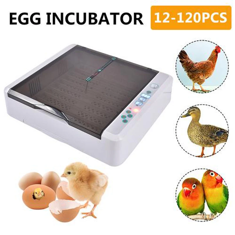 Good Quality 36-120 Egg incubator Fully Automatic HHD Egg Brooder LED Light Hatchery machine Quail Goose Chicken Hatch incubator