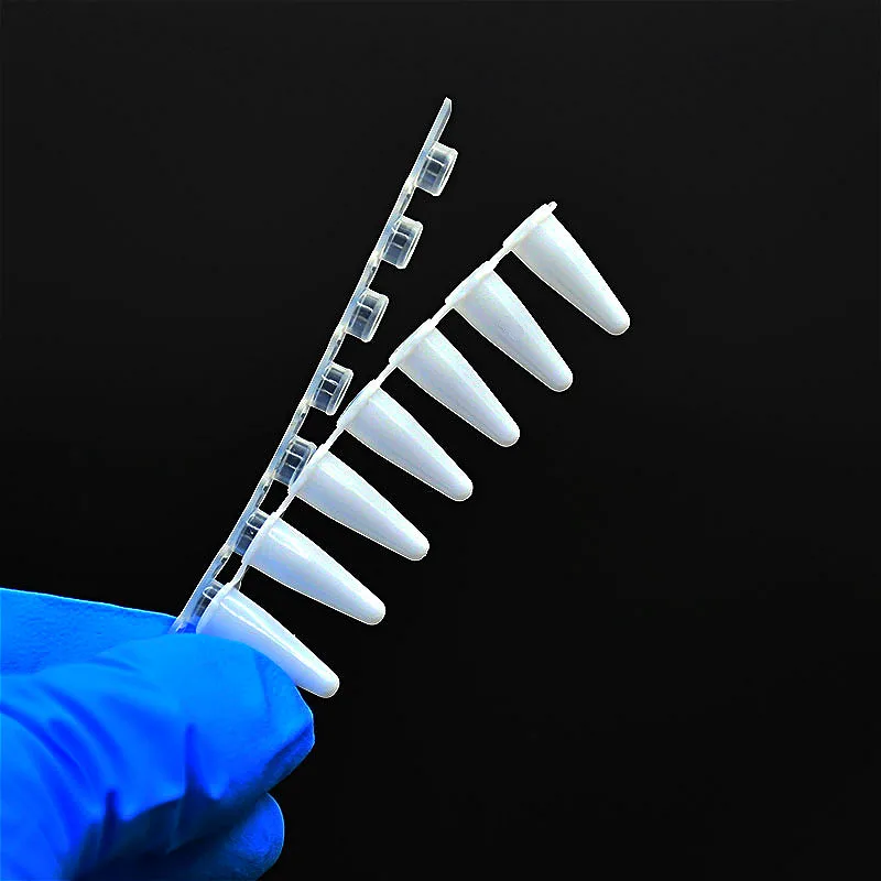 

PCR Tubes 0.1ml PCR 8-Centrifuge Tube Strips With Cover Porcelain White Micro Plastic Tube For Agarose Gene Experiment 200 / PK