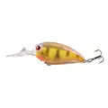 CB031-12-1PC