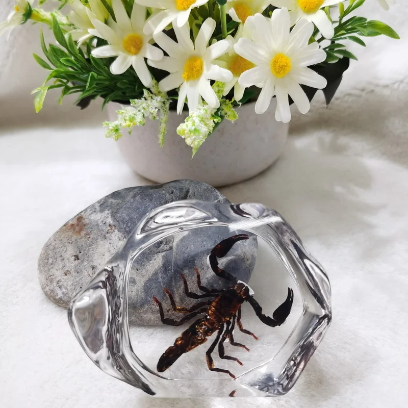 

Artificial amber ornament resin insect specimen scorpion wasp crystal chrysanthemum artificial crystal creative home table