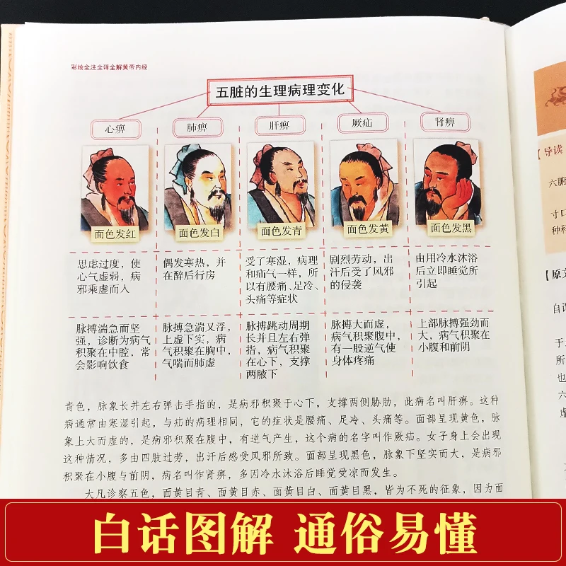 Imagem -05 - Livro de Medicina Interna Canon do Empero Amarelo Novo com Imagem Explicada em Chinês Chinês Tradicional Saúde Clássico Livro