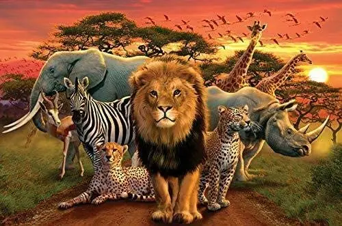 

African Kingdom - Animale Arte Collage Poster Metal Tin Sign 8x12 Inch Home Kitchen Bedroom Bar Sign Decoration Posters Tin Sign